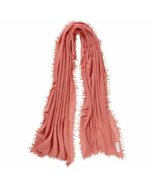 PUR SCHOEN Red Hand Felted Cashmere Soft Scarf Papaya + Gift