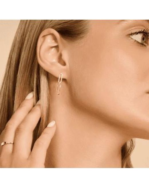 Blush Lingerie Metallic 14k Gold Link Drop Earrings