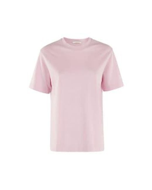 Circolo 1901 Pink Fard Jersey Cotton T-shirt Cn4300 M