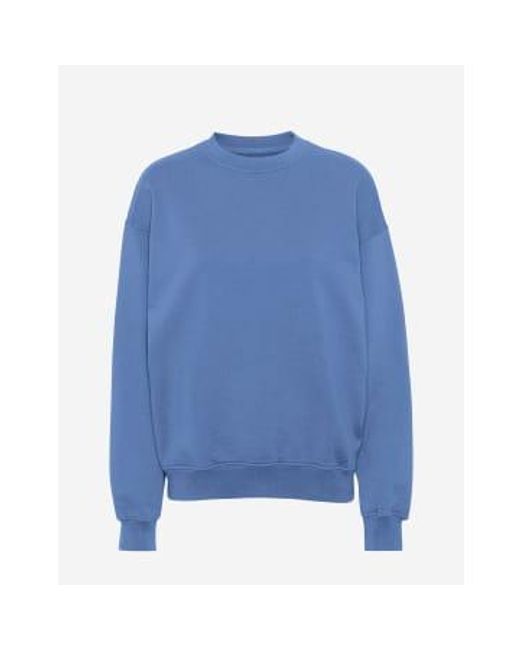 COLORFUL STANDARD Blue Sky Organic Cotton Crew Neck Sweatshirt M for men