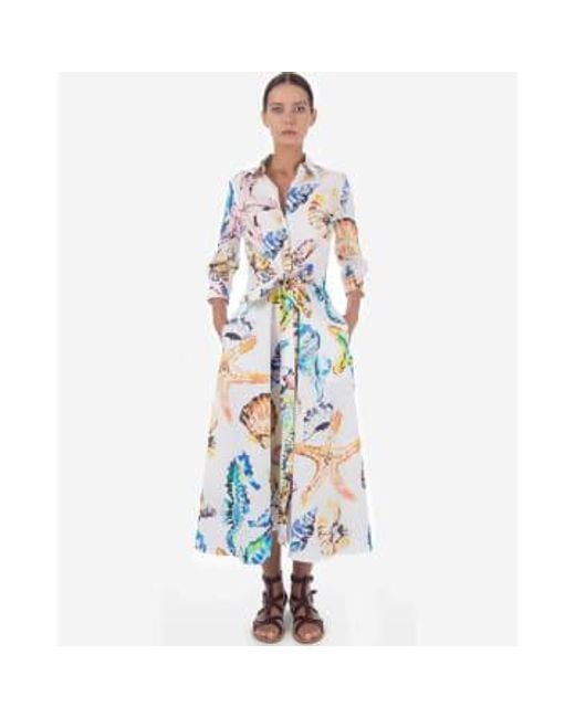 Sara Roka Blue Dralla Multi See gedrucktes Midi -Kleid