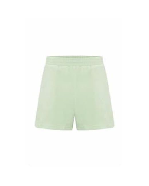 Ichi Green NABI -Shorts in Spucestone