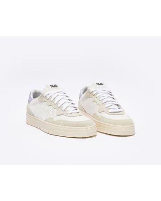 P448 White Bali Sneaker Size 5 / 38
