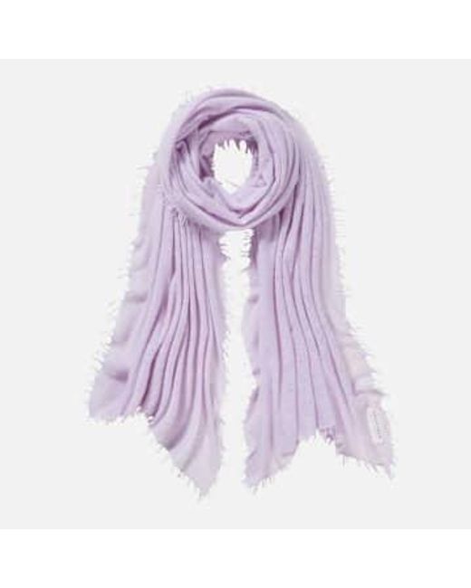 PUR SCHOEN Purple Hand Felted Cashmere Soft Scarf Lavender + Gift
