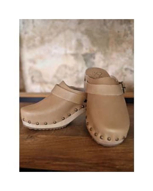 Bosabo Brown | Leather Clogs Beige 38