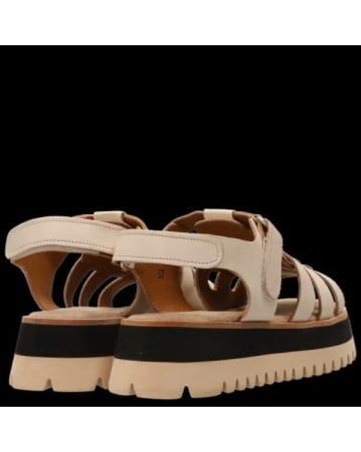 Maruti Black Logan Leather Sandals
