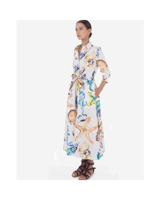 Sara Roka Blue Dralla Multi See gedrucktes Midi -Kleid
