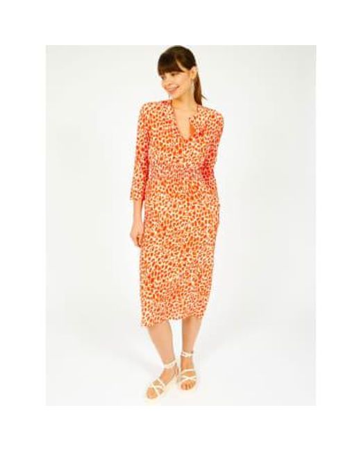 Primrose Park Orange Tiffany Dress Leopard Uk 14