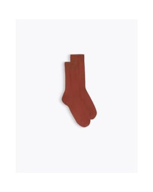 Homecore Red Thin Cotton Hot Sauce Socks 39/42 /