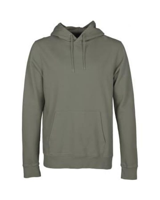 COLORFUL STANDARD Green Cs1006 Classic Organic Hood Dusty Olive Xtra Large for men
