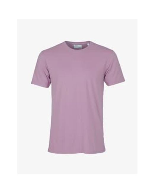 COLORFUL STANDARD Perlleinig lila bio -baumwoll -t -shirt in Purple für Herren