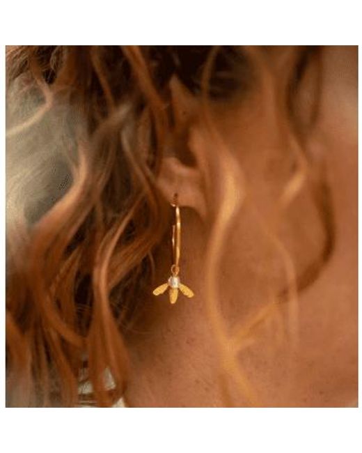 Claudia Bradby Metallic Plated Flying Bee Hoop Earrings