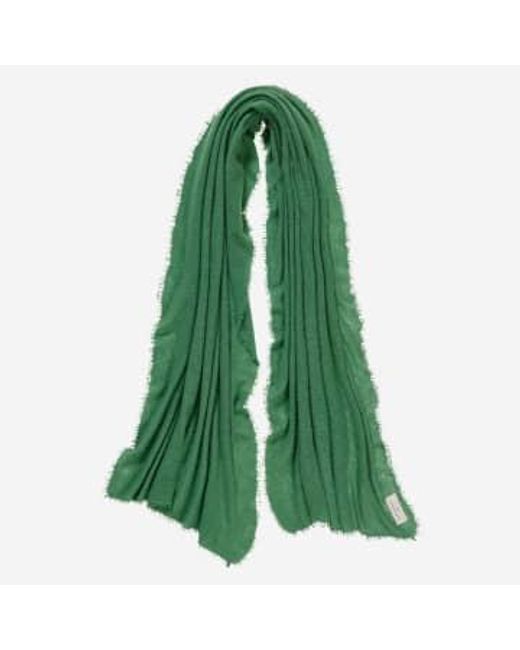 PUR SCHOEN Green Hand Felted Cashmere Soft Scarf Ivy / Efeau + Gift