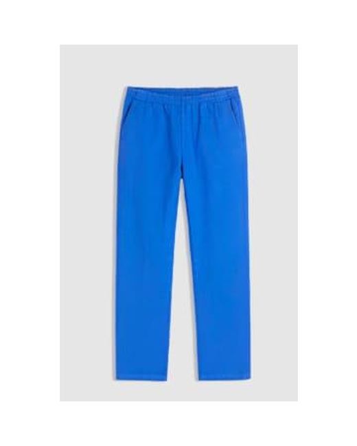 Homecore Blue Pantalon Maji Bio for men