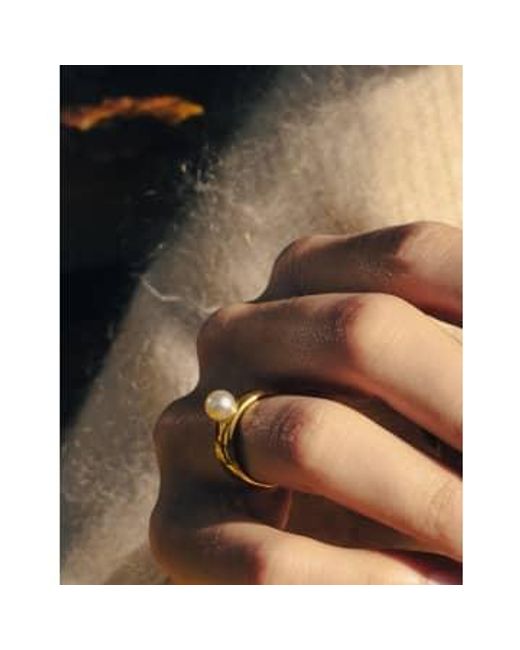 Anillo banda perlas oro, resistente al agua Nordic Muse de color Brown