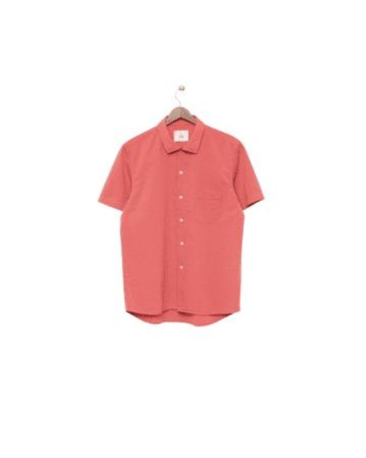 La Paz Pink Panama Shirt for men