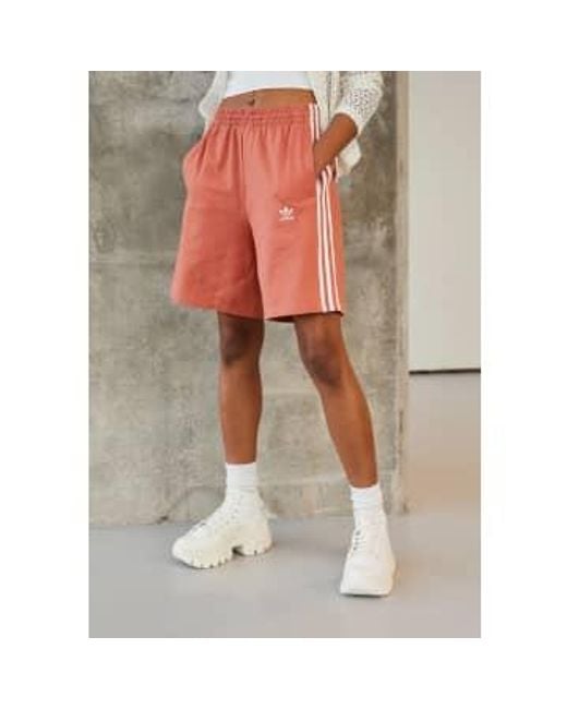 Adidas Pink Coral Adicolor Classics Bermuda Shorts L