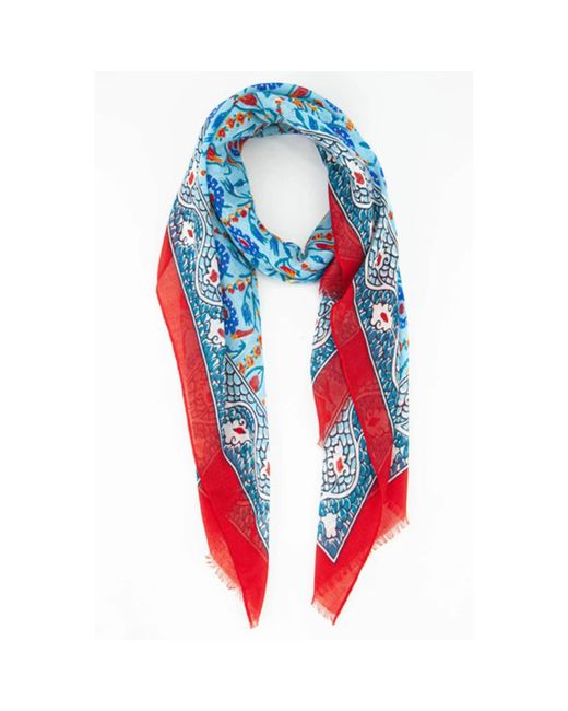 Miss shorthair scarves shop