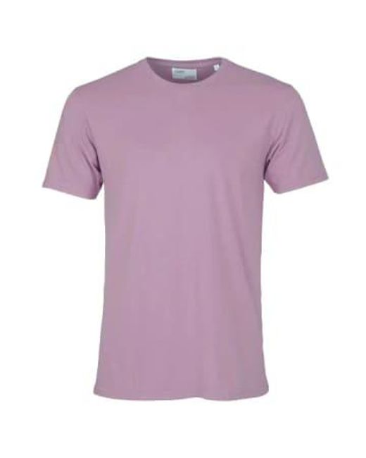 COLORFUL STANDARD Purple Classic Organic T-shirt Pearly for men