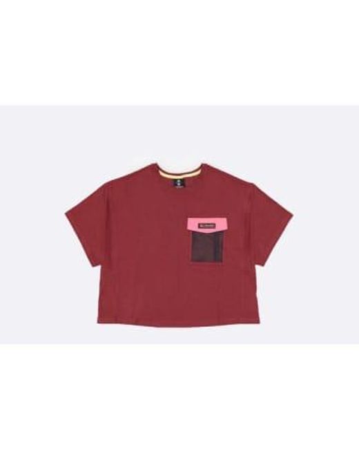 Wmns Painted Peak Knit Cropped Top Spice di Columbia in Red