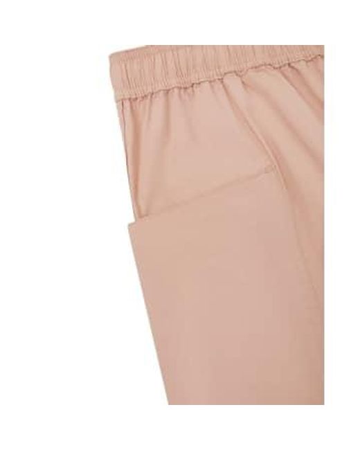 Uskees Leichte shorts #5015 dusty in Natural für Herren