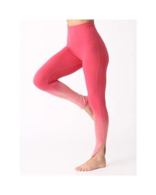 Electric and Rose Red Electric And Pierce legging
