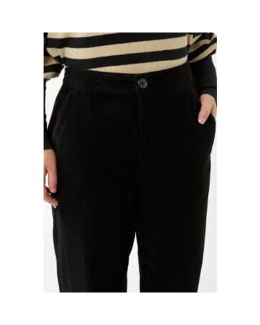 Pantalon pasop beauté noir Bellerose en coloris Black