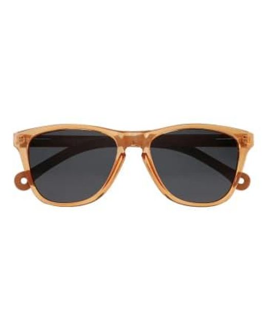 Parafina Multicolor Eco Friendly Sunglasses for men