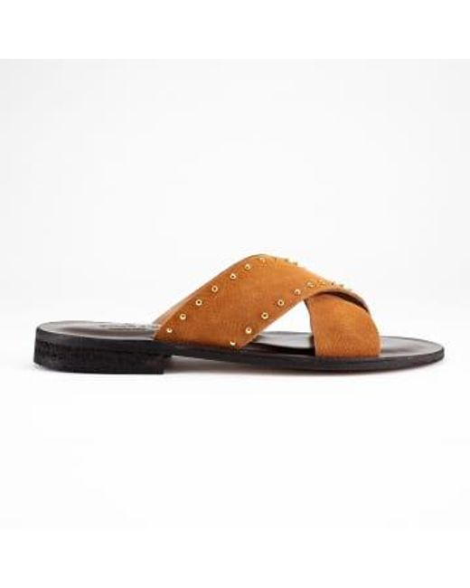 Theras Rhum Studded Sandals 2210 di Thera's in Brown