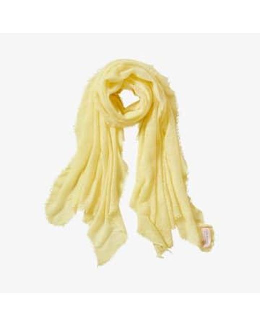 PUR SCHOEN Yellow Hand Felted Cashmere Soft Scarf Powder + Gift Wool