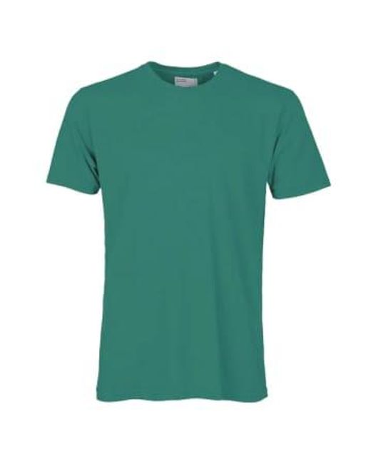 Camiseta orgánica clásica pino ver COLORFUL STANDARD de hombre de color Green