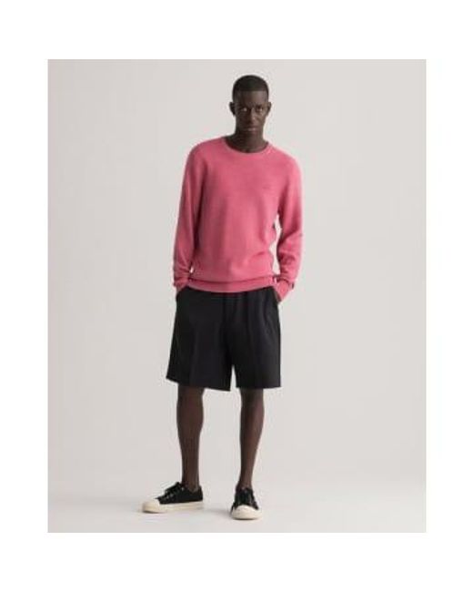 Rapture Crew Neck Textured Sweater di Gant in Pink da Uomo