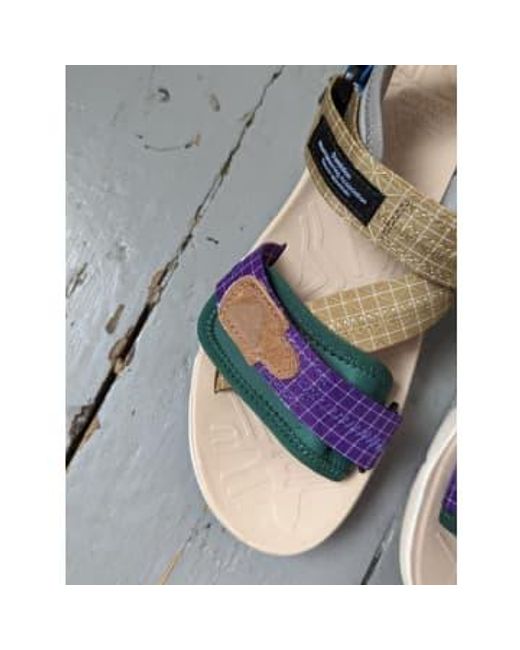 Flower Mountain Nazca & violetes klettverschluss sandalen in Gray für Herren