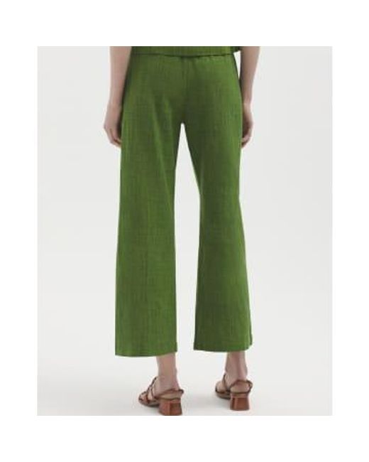 Nice Things Green Pantalon Chambray schöne Dinge