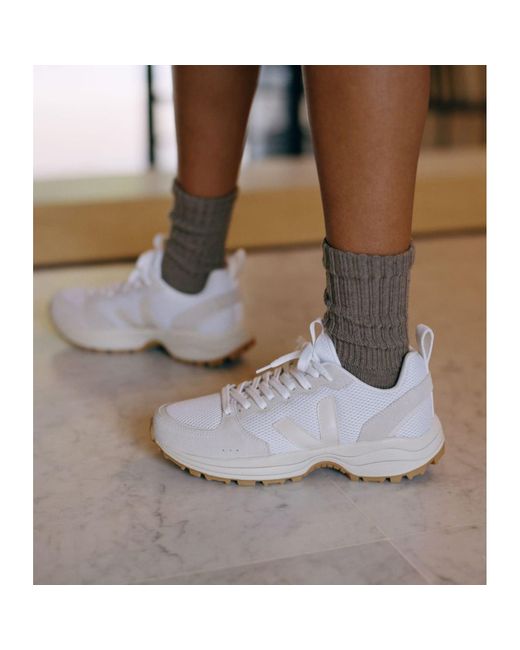 venturi white pierre