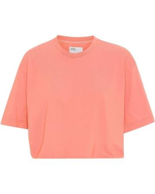 COLORFUL STANDARD Pink Bright Coral Organic Boxy Crop T-shirt Xs