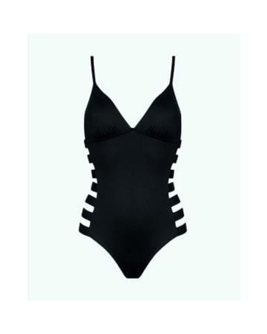 watercult Black Swimsuit