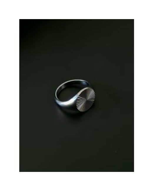 Golden Ivy Gray Cato Stainless Steel Ring