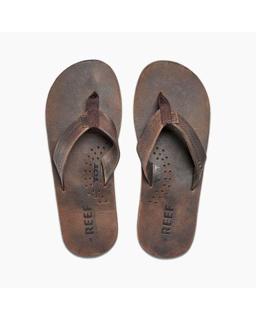reef draftsmen brown