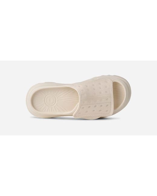 Mule Peakmod Ugg pour homme en coloris White