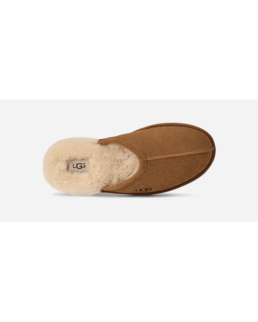 Ugg Scuff Für Herren in Brown für Herren