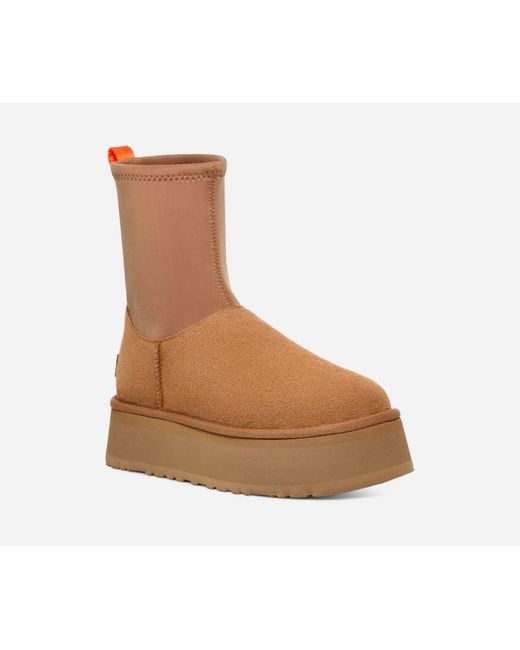 Botte Classic Dipper Pour Femme Ugg en coloris Brown