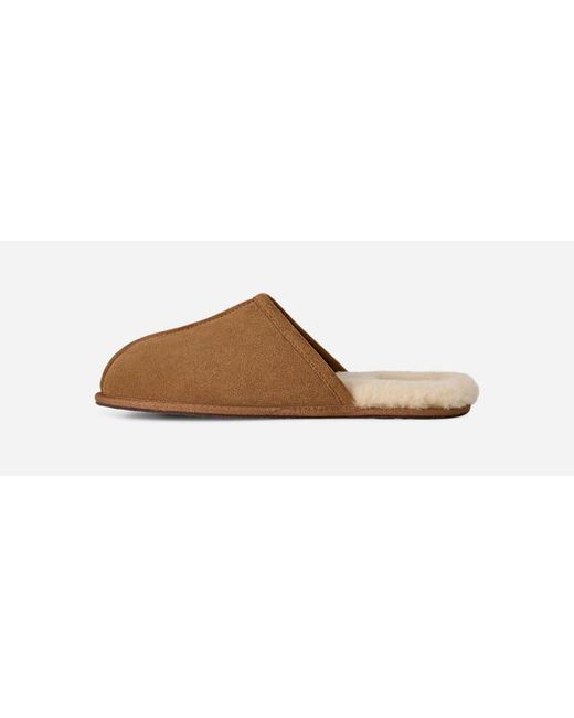Ugg Scuff Für Herren in Brown für Herren