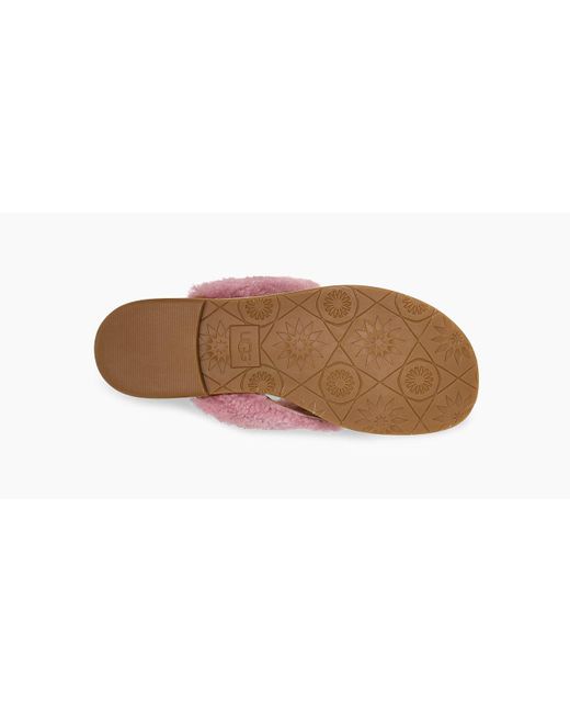 ugg alicia flip flop