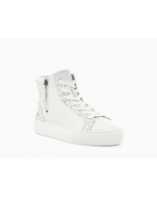 ugg olli sneaker white