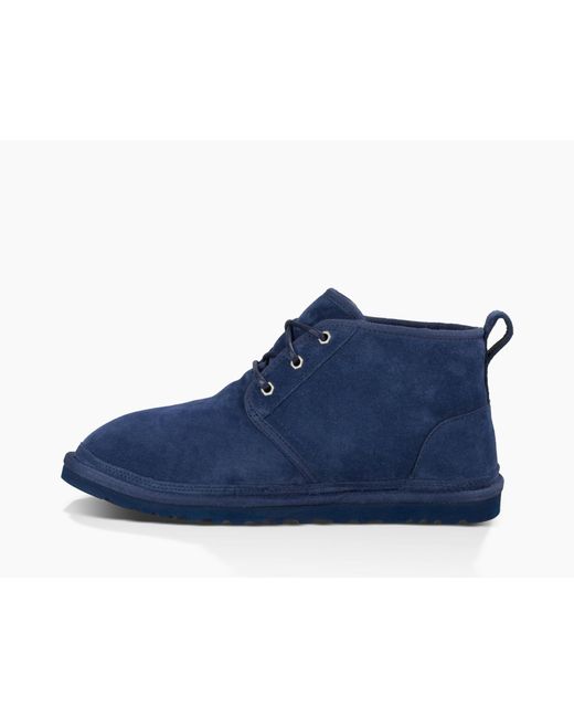 navy neumel uggs