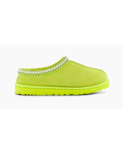 key lime tasman