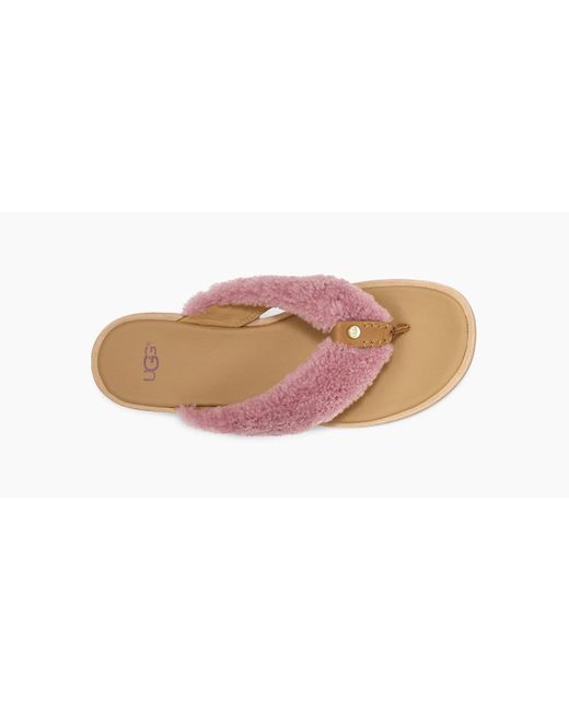 ugg alicia flip flop