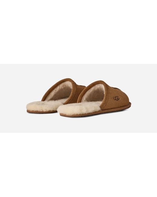 Ugg Scuff Für Herren in Brown für Herren