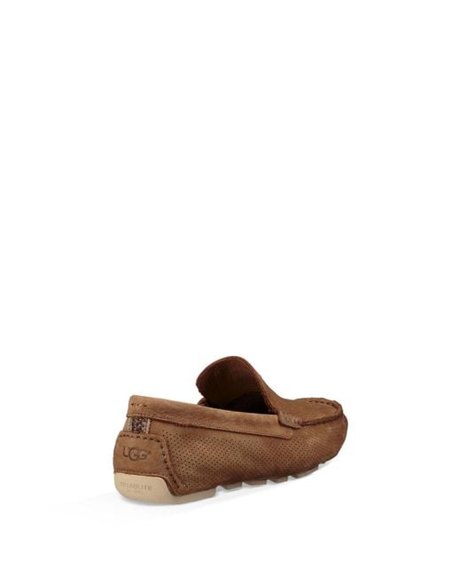 UGG Henrick Stripe Perf in Brown for Men Lyst